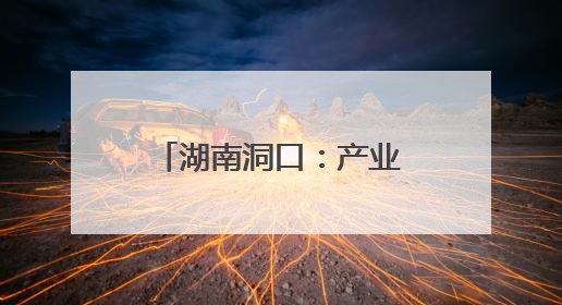 湖南洞口：产业提质增效 绘就乡村振兴新图景