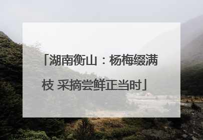 湖南衡山：杨梅缀满枝 采摘尝鲜正当时