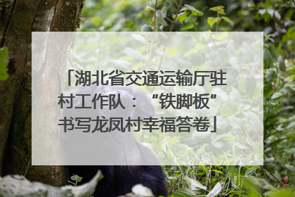 湖北省交通运输厅驻村工作队：“铁脚板”书写龙凤村幸福答卷