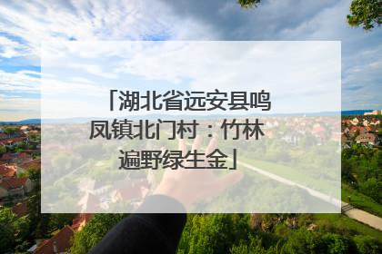 湖北省远安县鸣凤镇北门村：竹林遍野绿生金