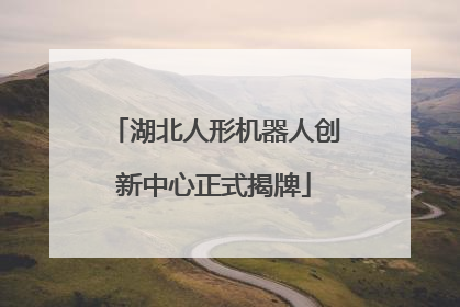 湖北人形机器人创新中心正式揭牌