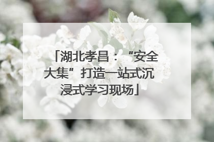 湖北孝昌：“安全大集”打造一站式沉浸式学习现场