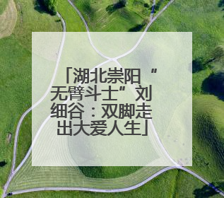 湖北崇阳“无臂斗士”刘细谷：双脚走出大爱人生