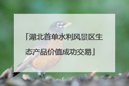 湖北首单水利风景区生态产品价值成功交易