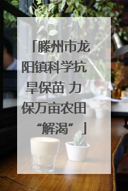 滕州市龙阳镇科学抗旱保苗 力保万亩农田“解渴”