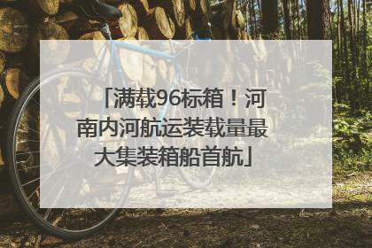 满载96标箱！河南内河航运装载量最大集装箱船首航