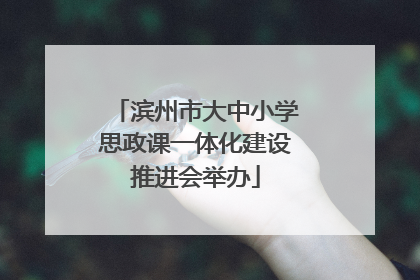 滨州市大中小学思政课一体化建设推进会举办