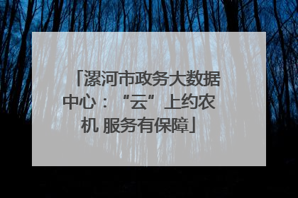 漯河市政务大数据中心：“云”上约农机 服务有保障