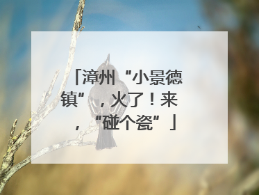 漳州“小景德镇”，火了！来，“碰个瓷”