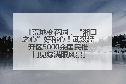荒地变花园，“湘口之心”好称心！武汉经开区5000余居民推门见绿满眼风景