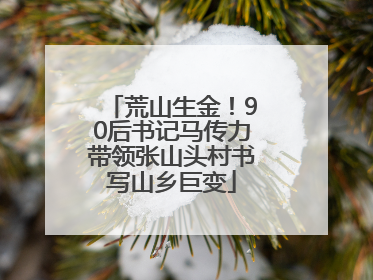荒山生金！90后书记马传力带领张山头村书写山乡巨变