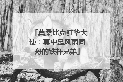 莫桑比克驻华大使：莫中是风雨同舟的铁杆兄弟