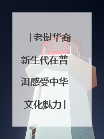 老挝华裔新生代在普洱感受中华文化魅力