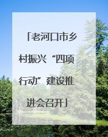 老河口市乡村振兴“四项行动”建设推进会召开