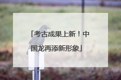 考古成果上新！中国龙再添新形象