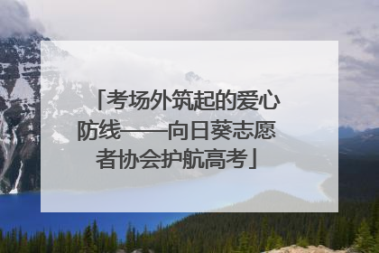 考场外筑起的爱心防线——向日葵志愿者协会护航高考