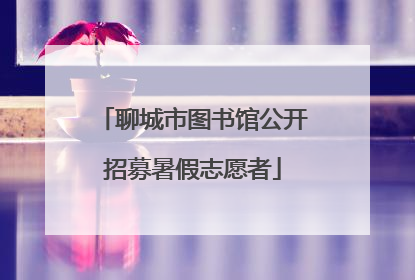 聊城市图书馆公开招募暑假志愿者