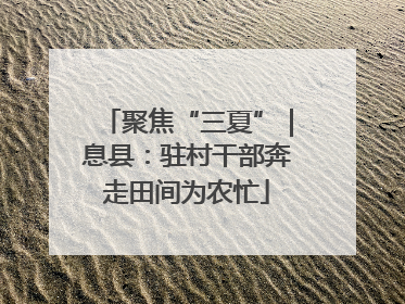 聚焦“三夏”｜息县：驻村干部奔走田间为农忙