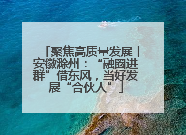 聚焦高质量发展丨安徽滁州：“融圈进群”借东风，当好发展“合伙人”