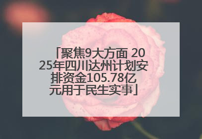 聚焦9大方面 2025年四川达州计划安排资金105.78亿元用于民生实事