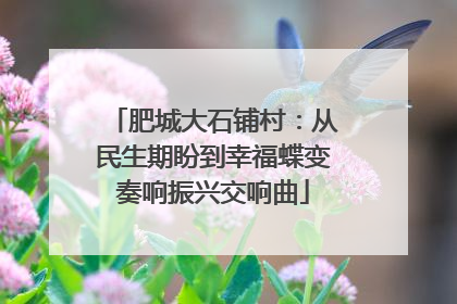 肥城大石铺村：从民生期盼到幸福蝶变奏响振兴交响曲