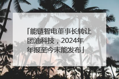 能链智电董事长转让团油科技，2024年年报至今未能发布