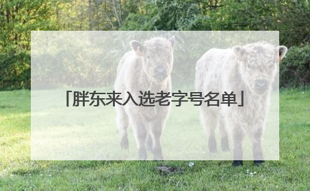 胖东来入选老字号名单