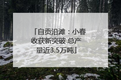 自贡沿滩：小春收获新突破 总产量近3.5万吨