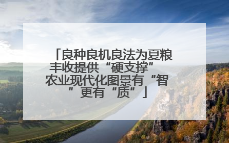 良种良机良法为夏粮丰收提供“硬支撑” 农业现代化图景有“智”更有“质”