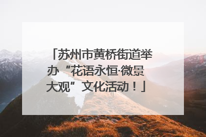苏州市黄桥街道举办“花语永恒·微景大观”文化活动！