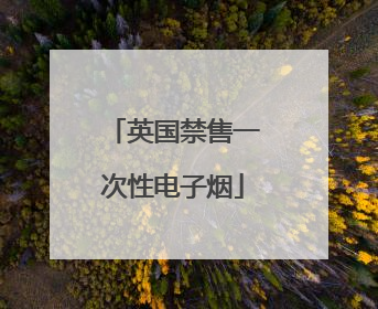 英国禁售一次性电子烟