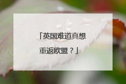 英国难道真想重返欧盟？
