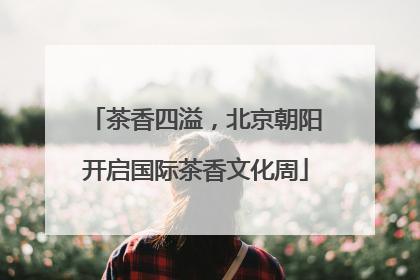 茶香四溢，北京朝阳开启国际茶香文化周