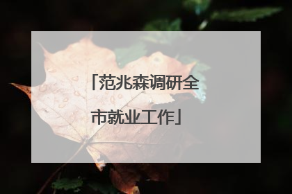 范兆森调研全市就业工作