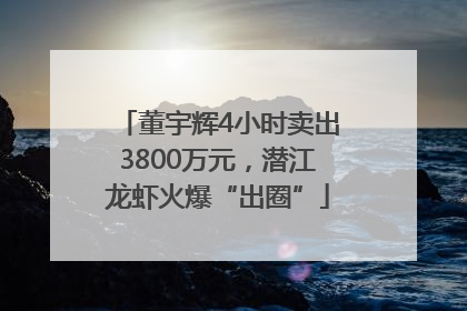 董宇辉4小时卖出3800万元，潜江龙虾火爆“出圈”