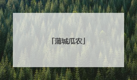 蒲城瓜农