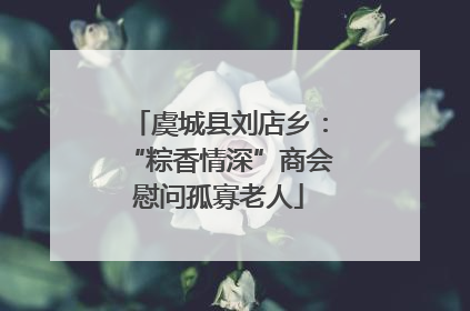 虞城县刘店乡：“粽香情深”商会慰问孤寡老人