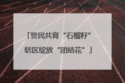 警民共育“石榴籽” 辖区绽放“团结花”