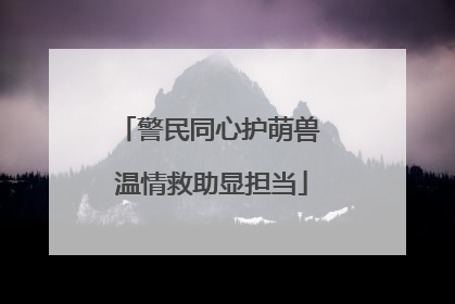 警民同心护萌兽 温情救助显担当