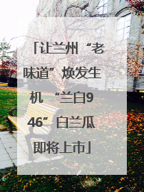 让兰州“老味道”焕发生机 “兰白946”白兰瓜即将上市