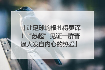让足球的根扎得更深！“苏超”见证一群普通人发自内心的热爱