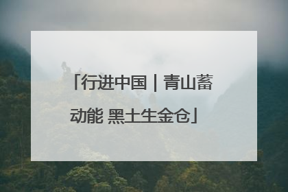 行进中国｜青山蓄动能 黑土生金仓