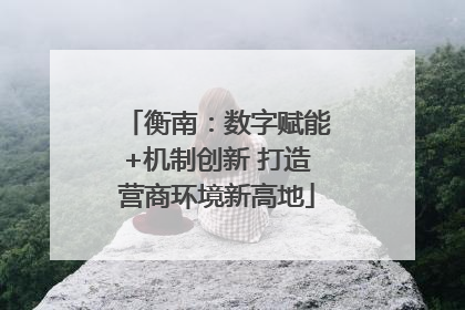 衡南：数字赋能+机制创新 打造营商环境新高地
