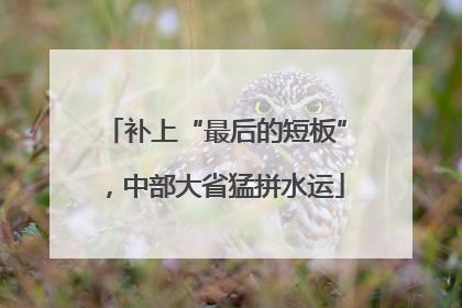 补上“最后的短板”，中部大省猛拼水运