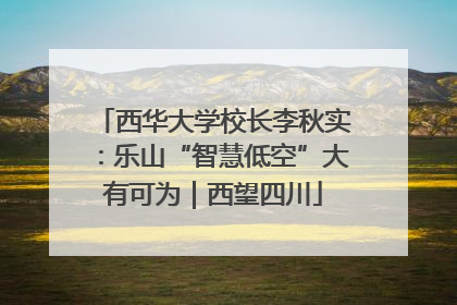 西华大学校长李秋实：乐山“智慧低空”大有可为｜西望四川