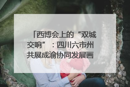 西博会上的“双城交响”：四川六市州共展成渝协同发展画卷｜西博视界