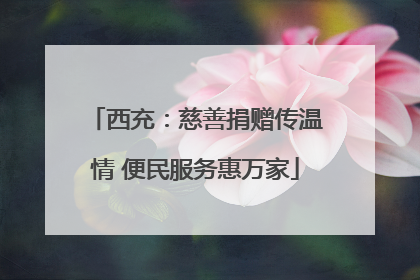 西充：慈善捐赠传温情 便民服务惠万家