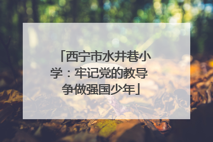 西宁市水井巷小学：牢记党的教导 争做强国少年