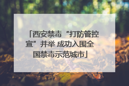 西安禁毒“打防管控宣”并举 成功入围全国禁毒示范城市