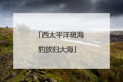 西太平洋斑海豹放归大海